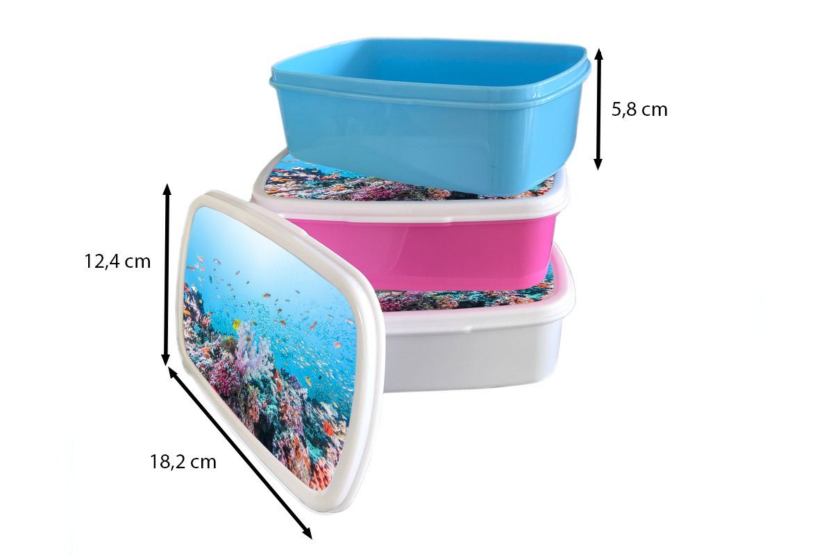 MuchoWow Lunchbox Fische - Koralle Kinder und und Kunststoff, Erwachsene, - (2-tlg), Jungs weiß Brotdose, Mädchen für Farben, für Brotbox