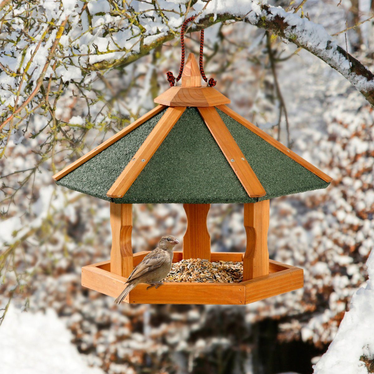 Karlie Vogelhaus Bird's World Wild Vogelhaus günstig online kaufen