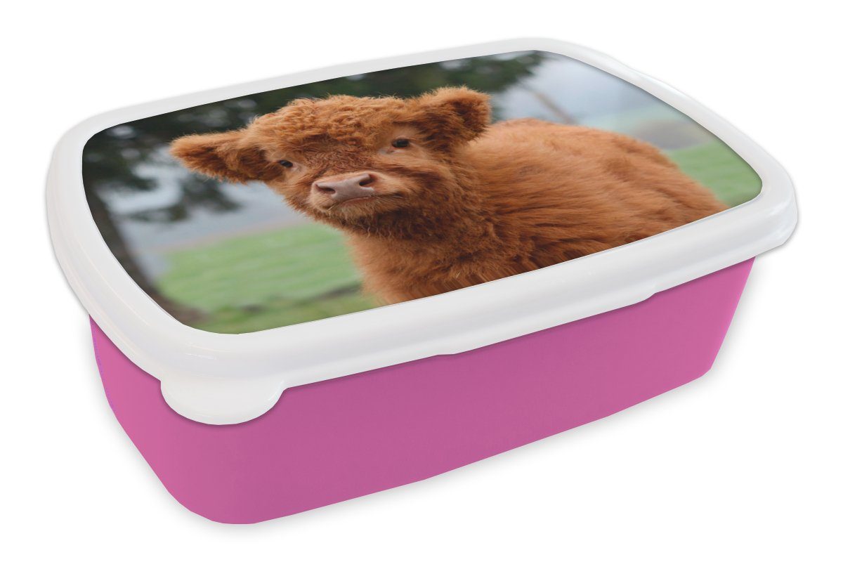 MuchoWow Lunchbox Scottish (2-tlg), Kalb Kunststoff für Highlander Brotbox Snackbox, rosa Kinder, - - Gras, Kunststoff, Brotdose Mädchen, Erwachsene