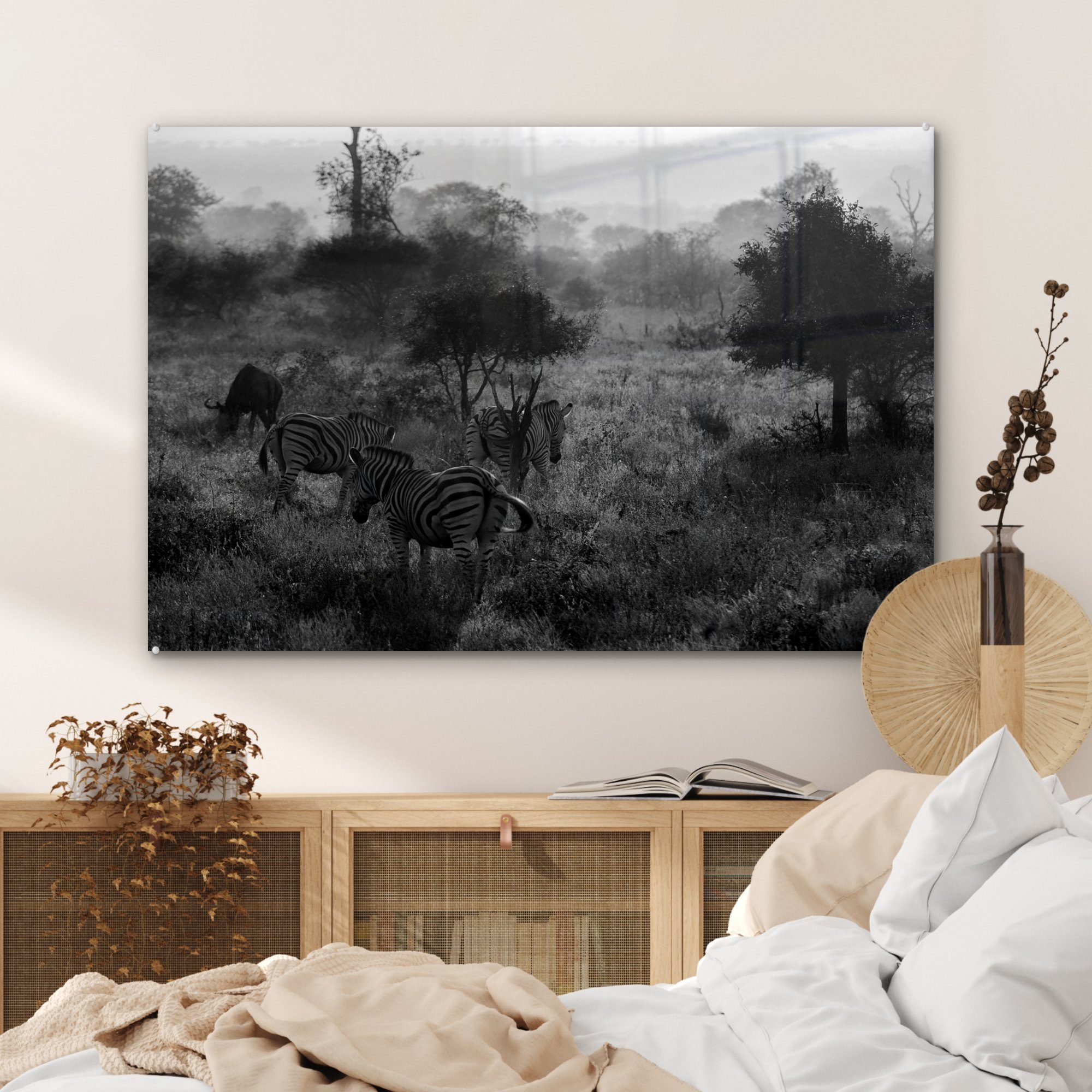 MuchoWow Acrylglasbild Nebliger Morgen im Südafrika und weiß, - Acrylglasbilder Krügerpark (1 in Wohnzimmer Schlafzimmer schwarz St), &