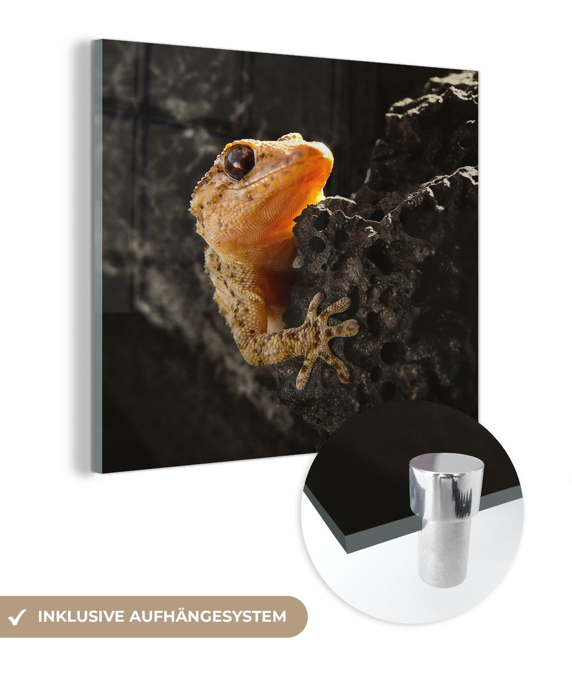 MuchoWow Acrylglasbild Orangefarbener Gecko sitzt auf einem Felsen, (1 St), Glasbilder - Bilder auf Glas Wandbild - Foto auf Glas - Wanddekoration