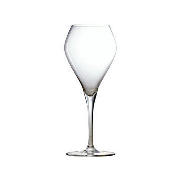 Stölzle Weinglas Q1 Süßweinkelche 320 ml 2er Set, Glas