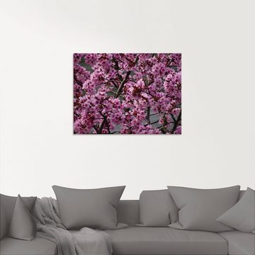 Artland Glasbild Japanische Zierkirschen Blüte, Bäume (1 St), in verschiedenen Größen
