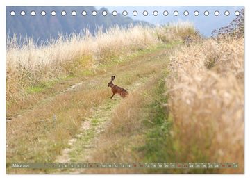CALVENDO Wandkalender Im Feld (Tischkalender 2025 DIN A5 quer), CALVENDO Monatskalender