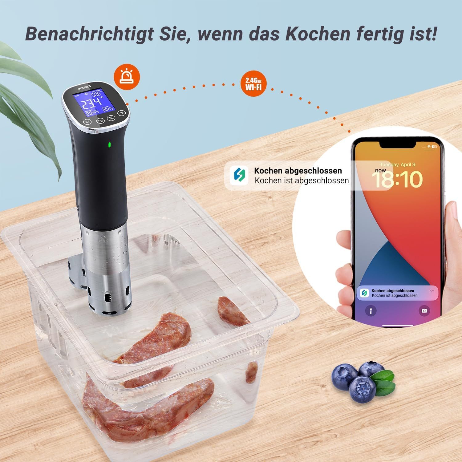 INKBIRD Sous-Vide Garer Professioneller Küchenroner Sous Vide Stick ISV-300W 2.4G WLAN APP CF, WiFi-Fernbedienung + App-voreingestellte Rezepte