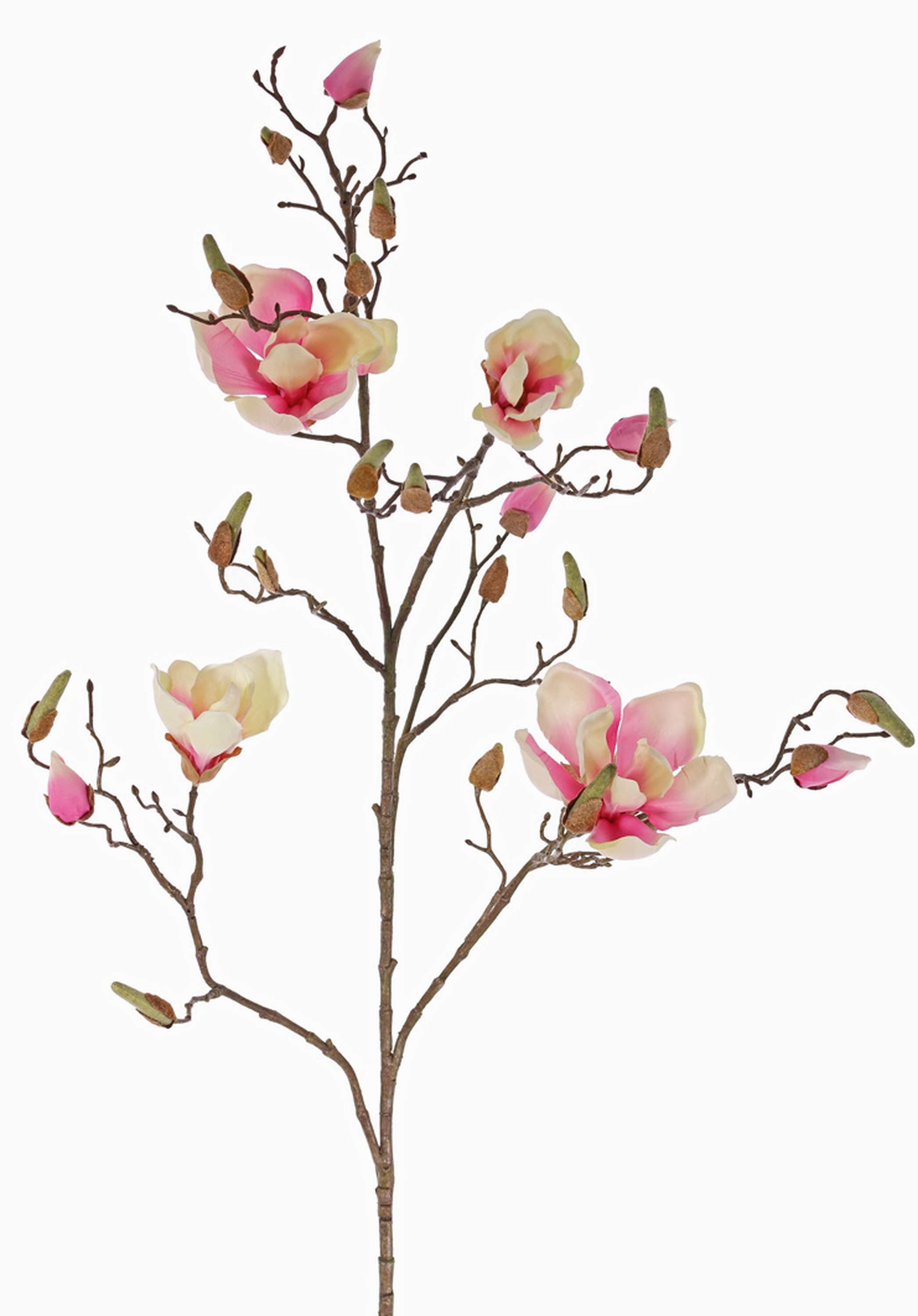 Kunstzweig Künstliche Magnolie LORA, Creme-rosa, 110cm, Ø10-12cm Magnolie, artplants, Höhe 110.0 cm