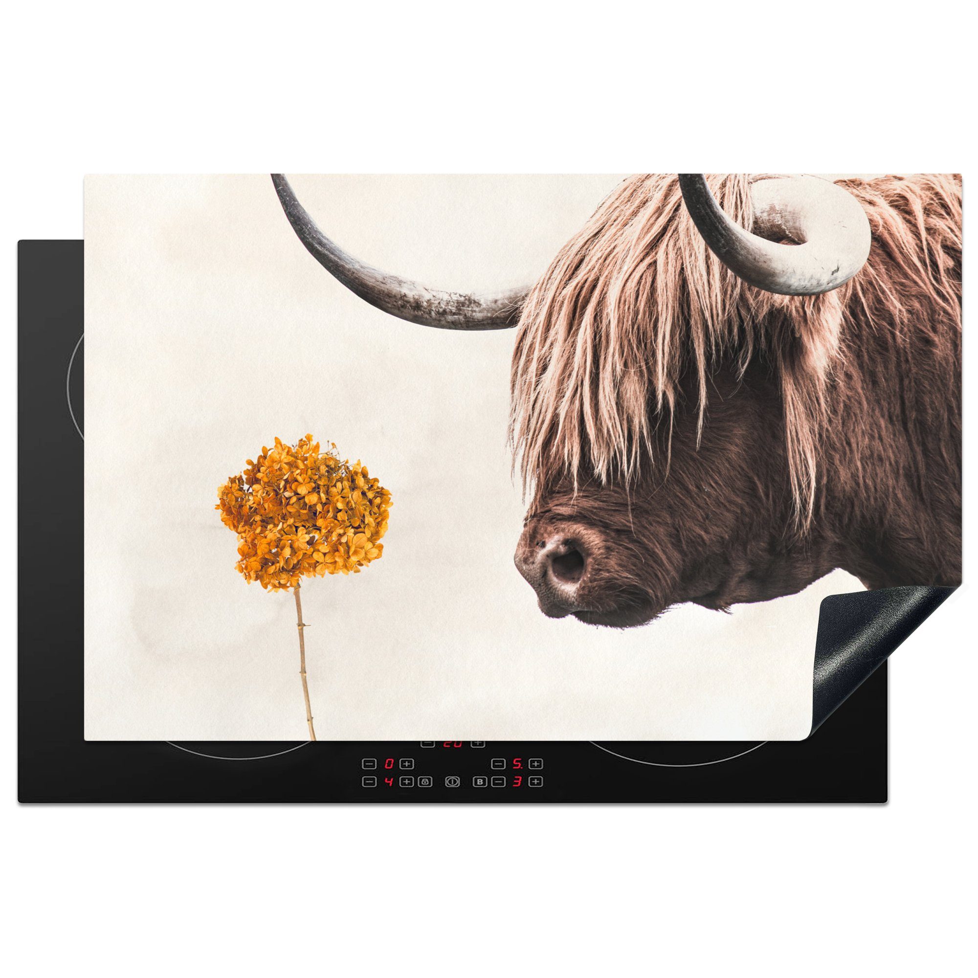 MuchoWow Herdblende-/Abdeckplatte Schottischer Highlander (1 tlg), küche, cm, Blume Induktionskochfeld - 81x52 die Vinyl, - Orange, Schutz für Ceranfeldabdeckung