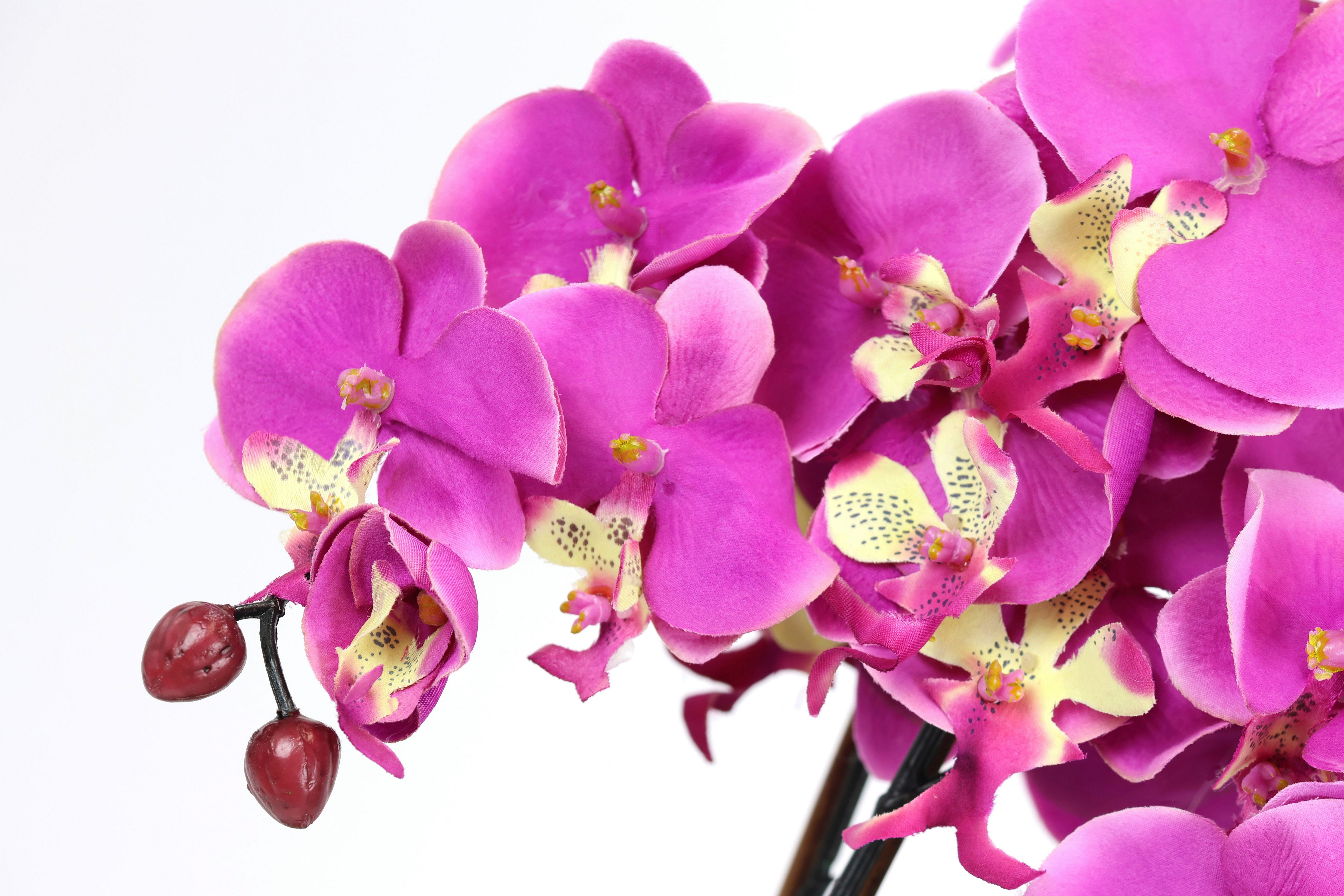 Kunstblume Künstliche Orchidee in Schale Phalaenopsis Kunstblume Blume, I.GE.A., Höhe 60 cm, Kunstorchidee Deko Dekoblume Seidenblume – Bild 2 von 3