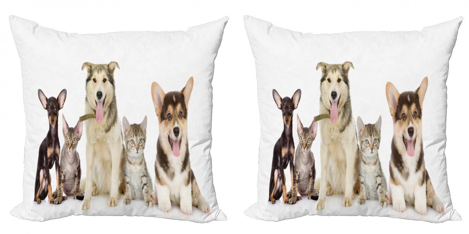 Kissenbezüge Modern Foto Corgi Haustiere Katzen Stück), Digitaldruck, Accent Hunde Doppelseitiger (2 Freunde Abakuhaus