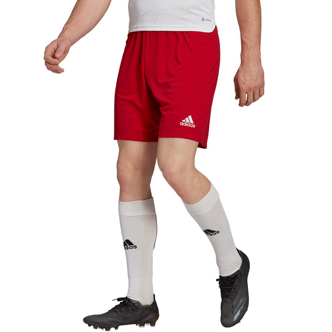 adidas Performance Trainingsshorts Entrada 22
