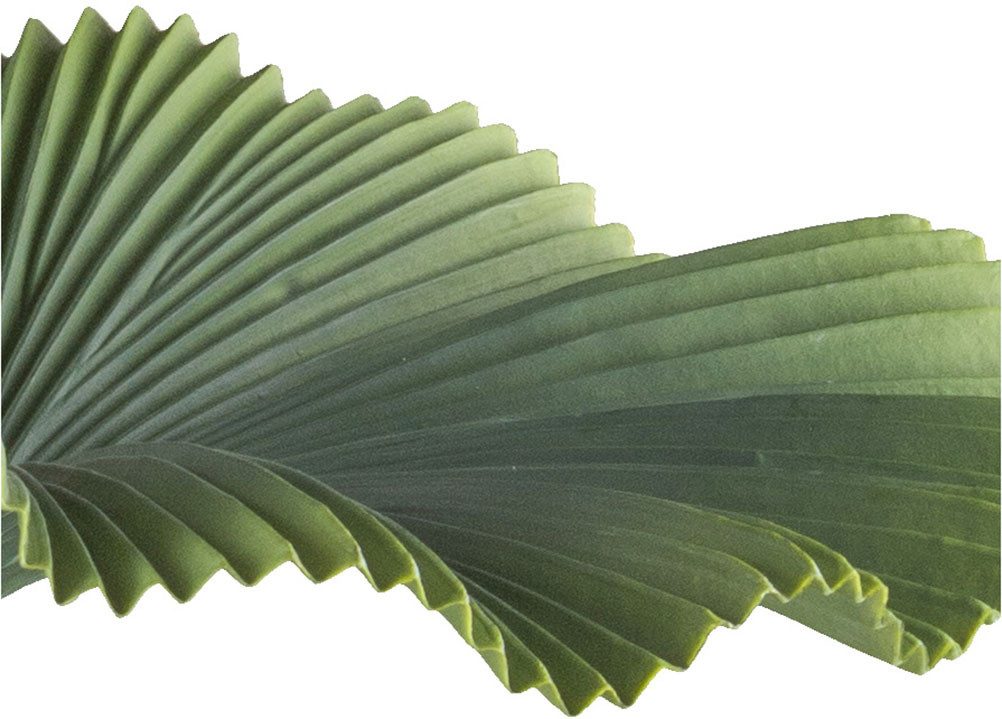 Kunstpalme Strahlenpalme, Creativ green, Höhe 100 günstig online kaufen