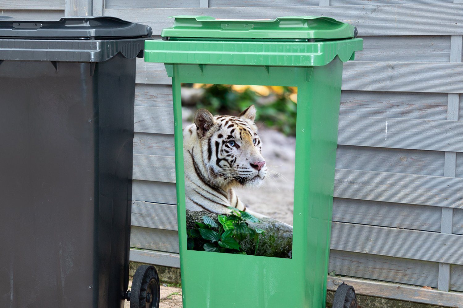 Weiß Tiger Sticker, Mülltonne, Abfalbehälter MuchoWow - Sand Container, (1 Mülleimer-aufkleber, - Wandsticker St),