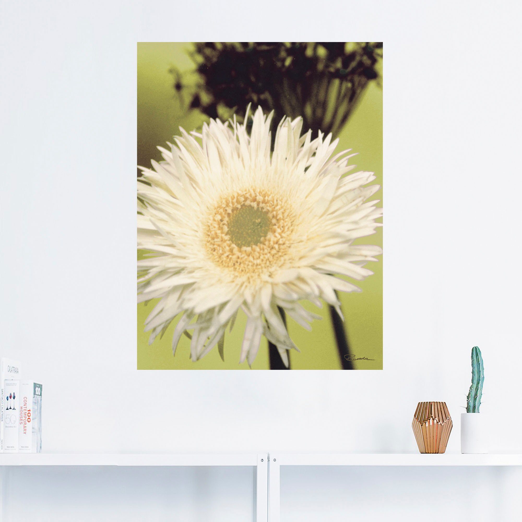 Artland Wandbild »Eine vor grün - Gerbera«, Blumenbilder (1 Stück), in vielen Größen & Produktarten - Alubild / Outdoorbild für den Außenbereich, Leinwandbild, Poster, Wandaufkleber / Wandtattoo auch für Badezimmer geeignet-HomeTrends