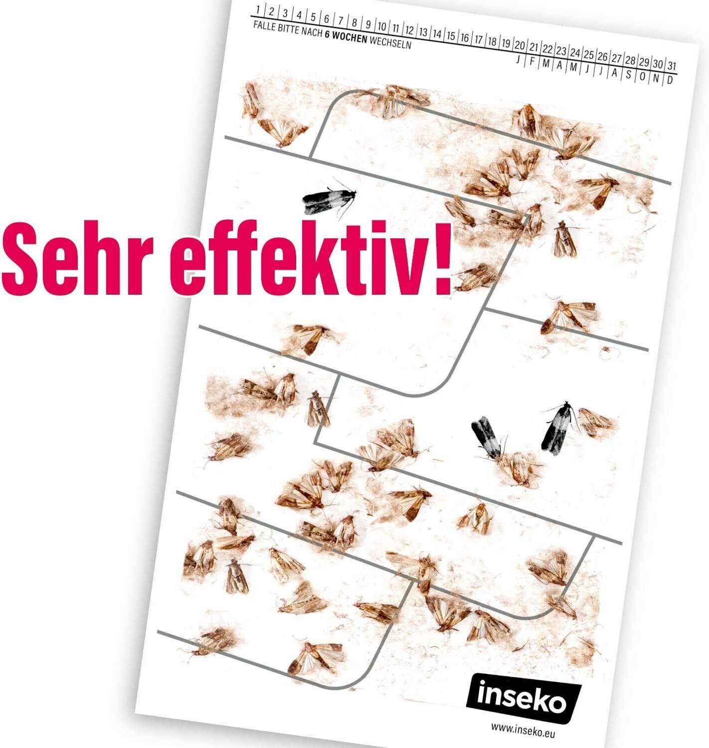 Inseko Klebefalle 16x inseko Lebensmittelmotten Falle I insektizidfrei und geruchlos, Pheromonfalle gegen Lebensmittelmotten und zur Befallsermittlung