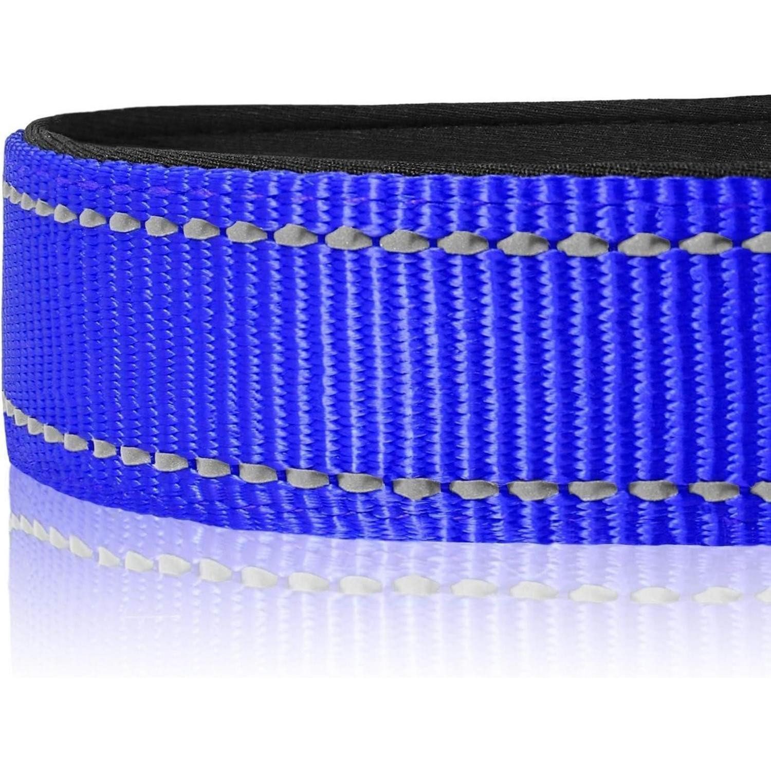 LuxusKollektion Hunde-Halsband Hundehalsband Neopren Gepolstert Verstellbar L (1er Pack) Königsblau