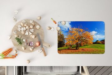 Platzset, Baum - Blätter - Herbst - Jahreszeiten, MuchoWow, (6-St), Platzset, Platzdecken, Platzmatte, Tischmatten, Schmutzabweisend