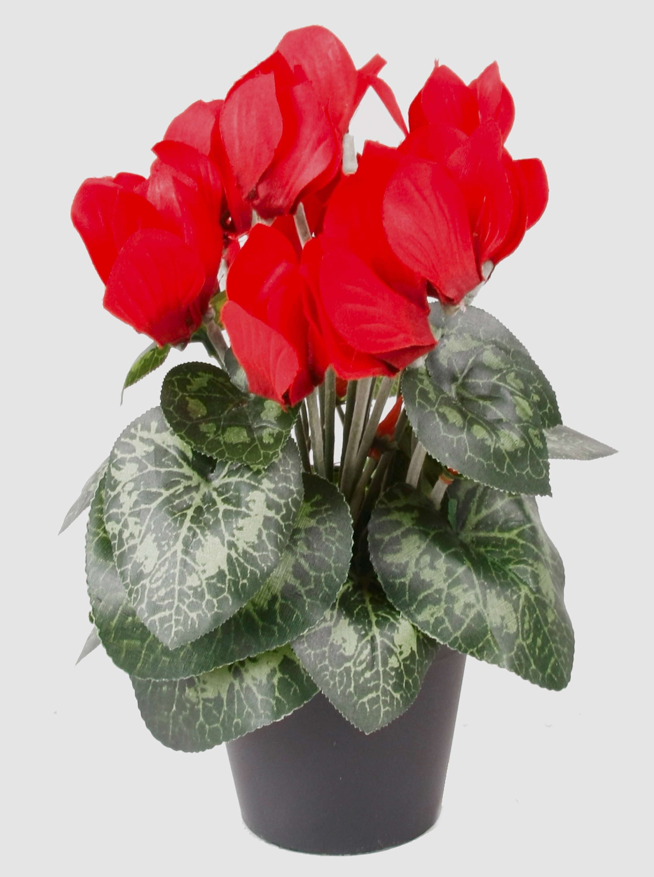 Kunstblume Alpenveilchen im Topf, 12 Blüten, rot, 25cm - Mini Kunstblumen Alpenveilchen, artplants, Höhe 25.0 cm