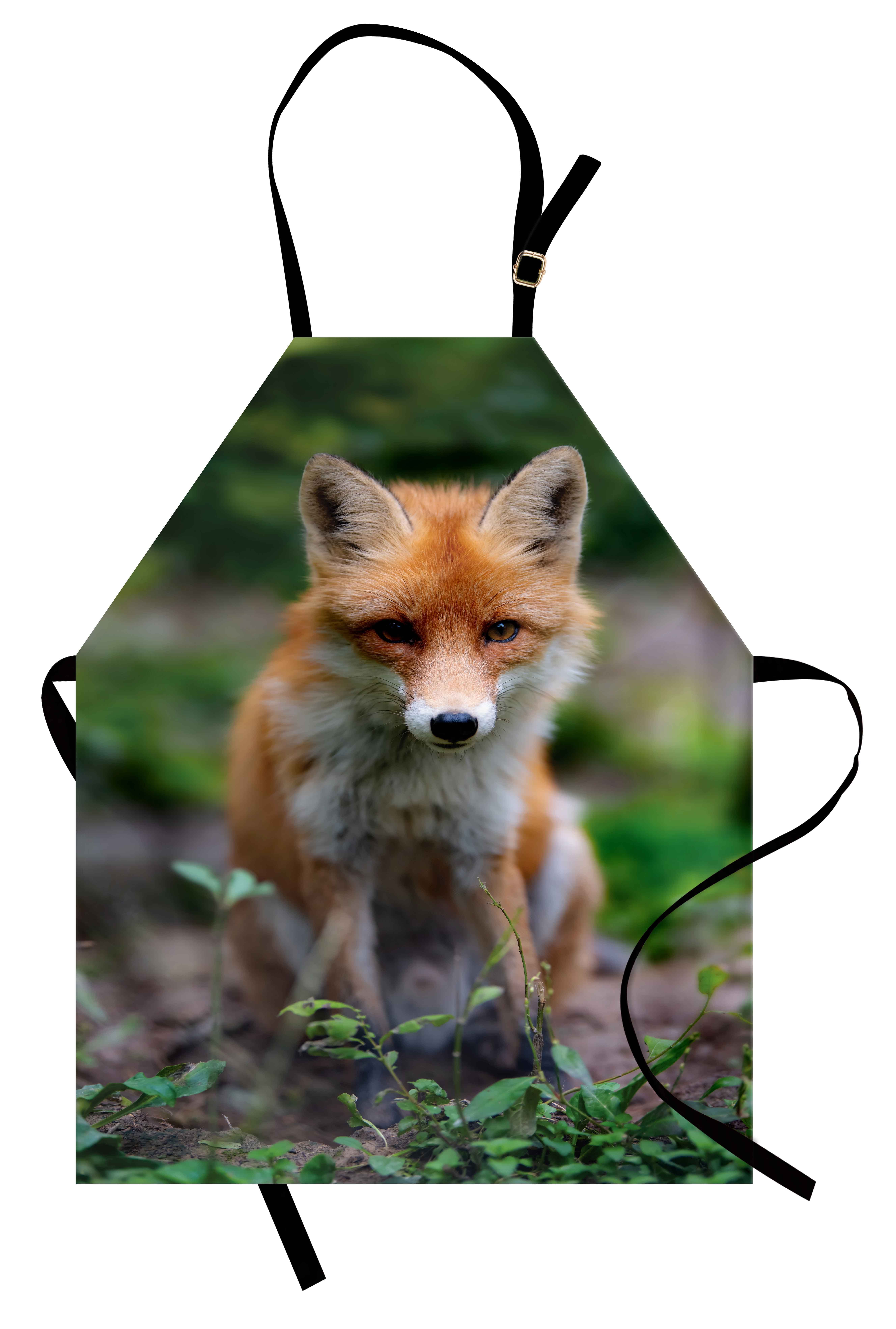 Abakuhaus Kochschürze Höhenverstellbar Klare Farben ohne verblassen, Fuchs Junge Coyote Foto