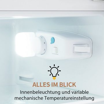 OKWISH Kühlschrank BCD-102, 101 cm hoch, 41 cm breit, Türregale und Glasregale. 181 kWh/Jahr, -27°C ~13°C, LED-Licht.