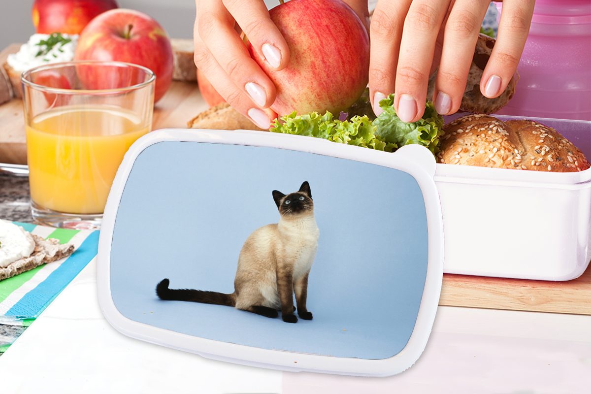 für Kinder Kunststoff, (2-tlg), Eine einem blauen Mädchen Erwachsene, und MuchoWow weiß Brotbox und in Atelier, Jungs Brotdose, Siamkatze Lunchbox für