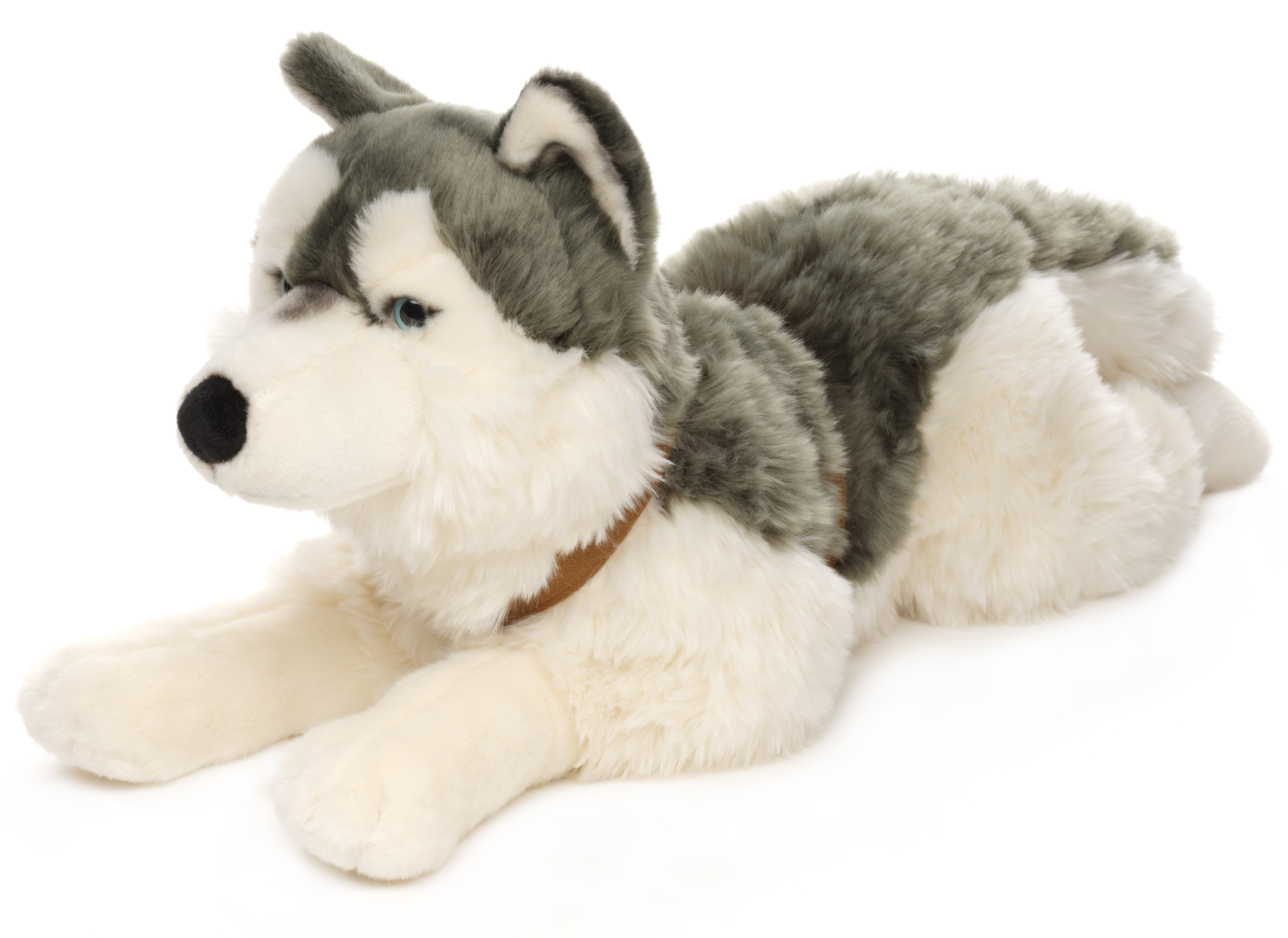Uni-Toys Kuscheltier Großer Husky (mit Geschirr) - 62 cm (Длина) - Plüsch-Hund - Plüschtier, zu 100 % recyceltes Füllmaterial