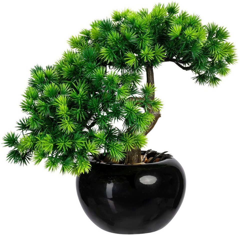 Kunstbonsai Bonsai Lärche Bonsai Lärche, Creativ green, Höhe 25 cm, im  Keramiktopf, 2er Set