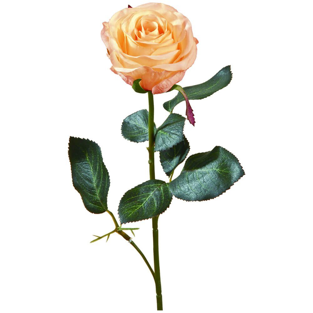 Kunstblume Rose Madame Stielrose Kunstpflanze 37 cm 1 Stk orange Rosen, matches21 HOME & HOBBY, Höhe 37 cm, Indoor