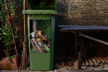 MuchoWow Wandsticker Marder - Baum - Wald (1 St), Mülleimer-aufkleber, Mülltonne, Sticker, Container, Abfalbehälter