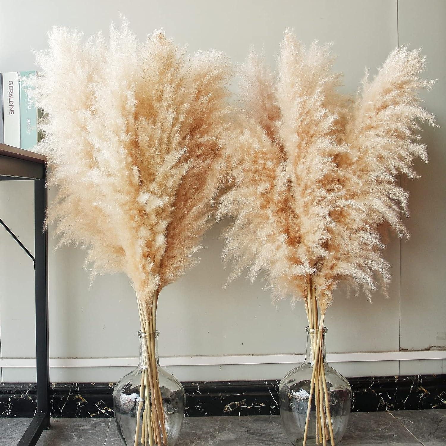 Trockenblume 10er Set Pampas Gras XXL Trockenblumen