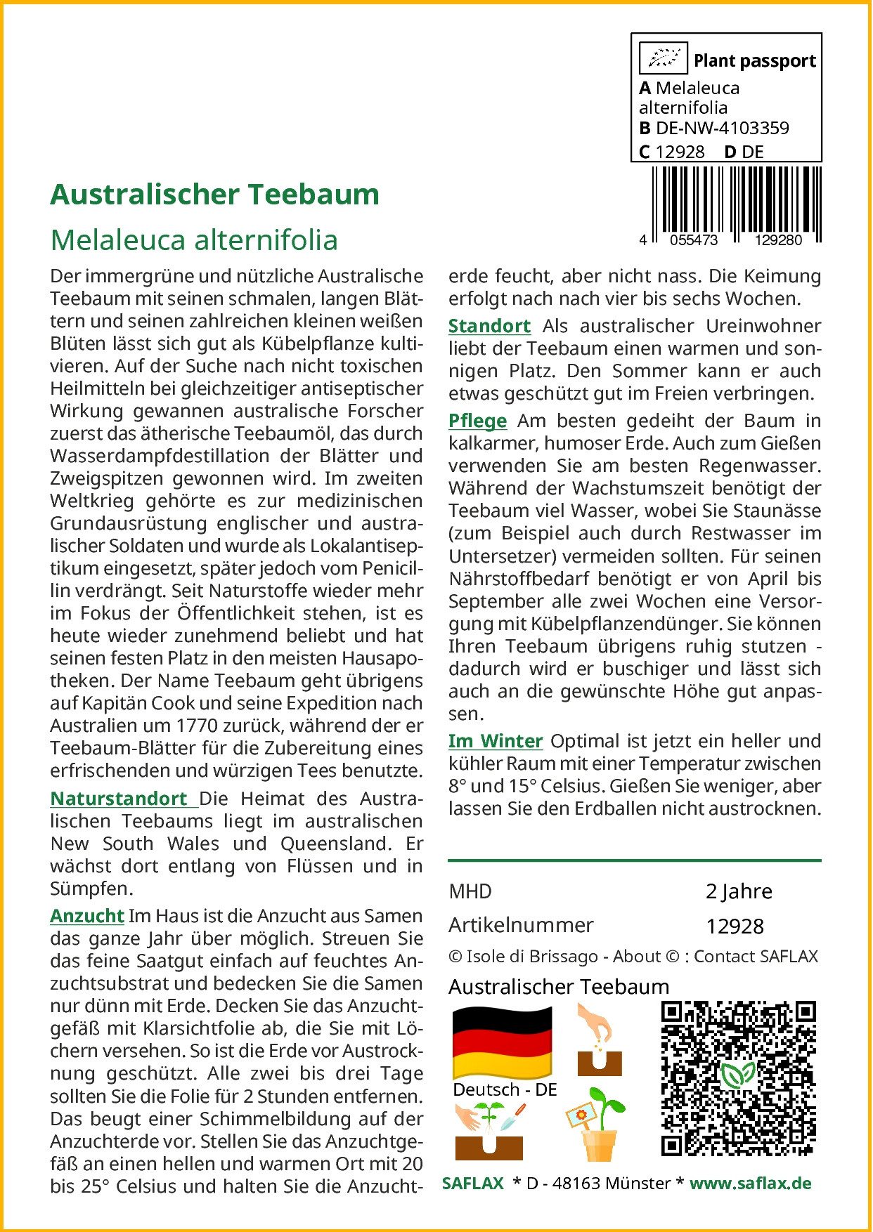 SAFLAX Blumensamen SAFLAX - Samen - Australischer Teebaum