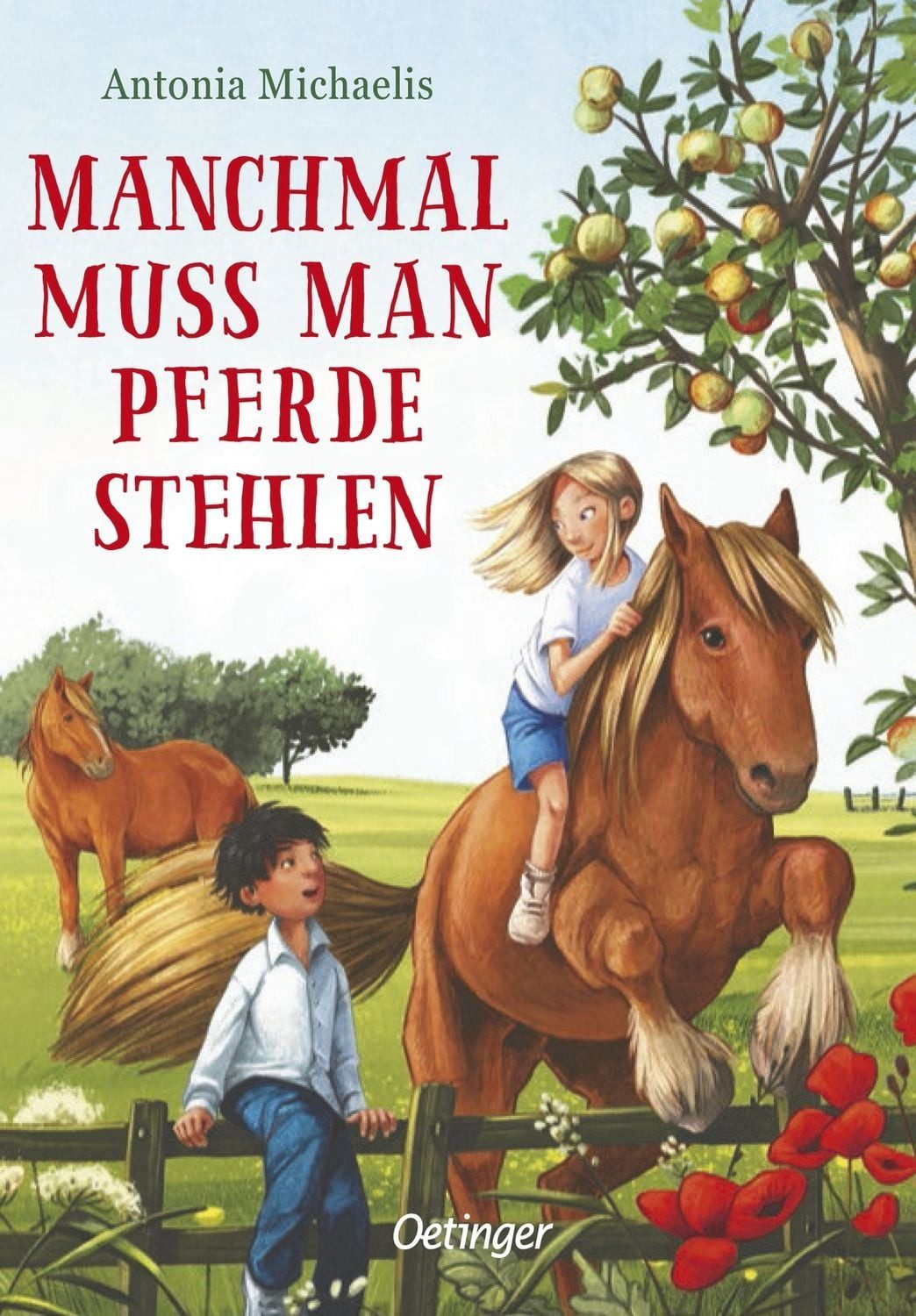 Manchmal muss man Pferde stehlen / Antonia Michaelis