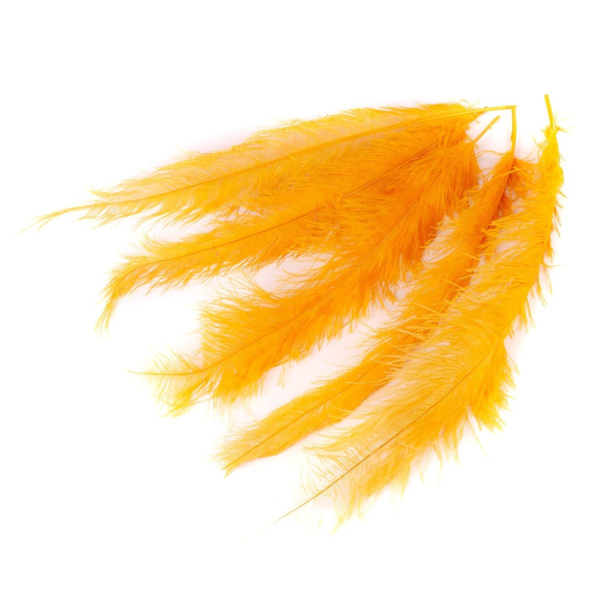 INNA-Glas Bastelfedern Deko Federn Deko Pippin, 5 Stück, orange, 55-70cm