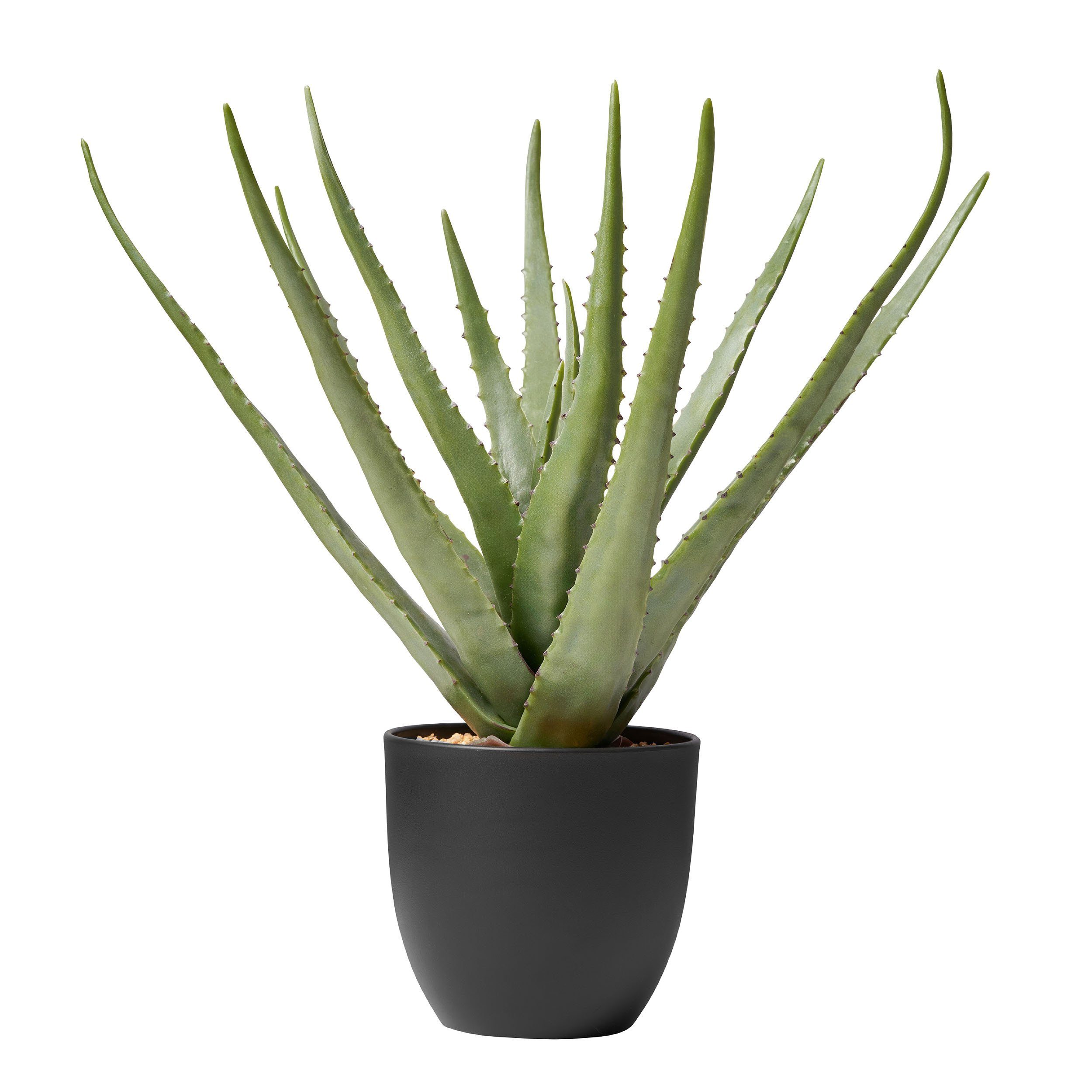 Kunstpflanze Dekopflanze Realistische Kunstpflanze Aloe 50 cm Dekopflanze, Amare home, Höhe 50 cm