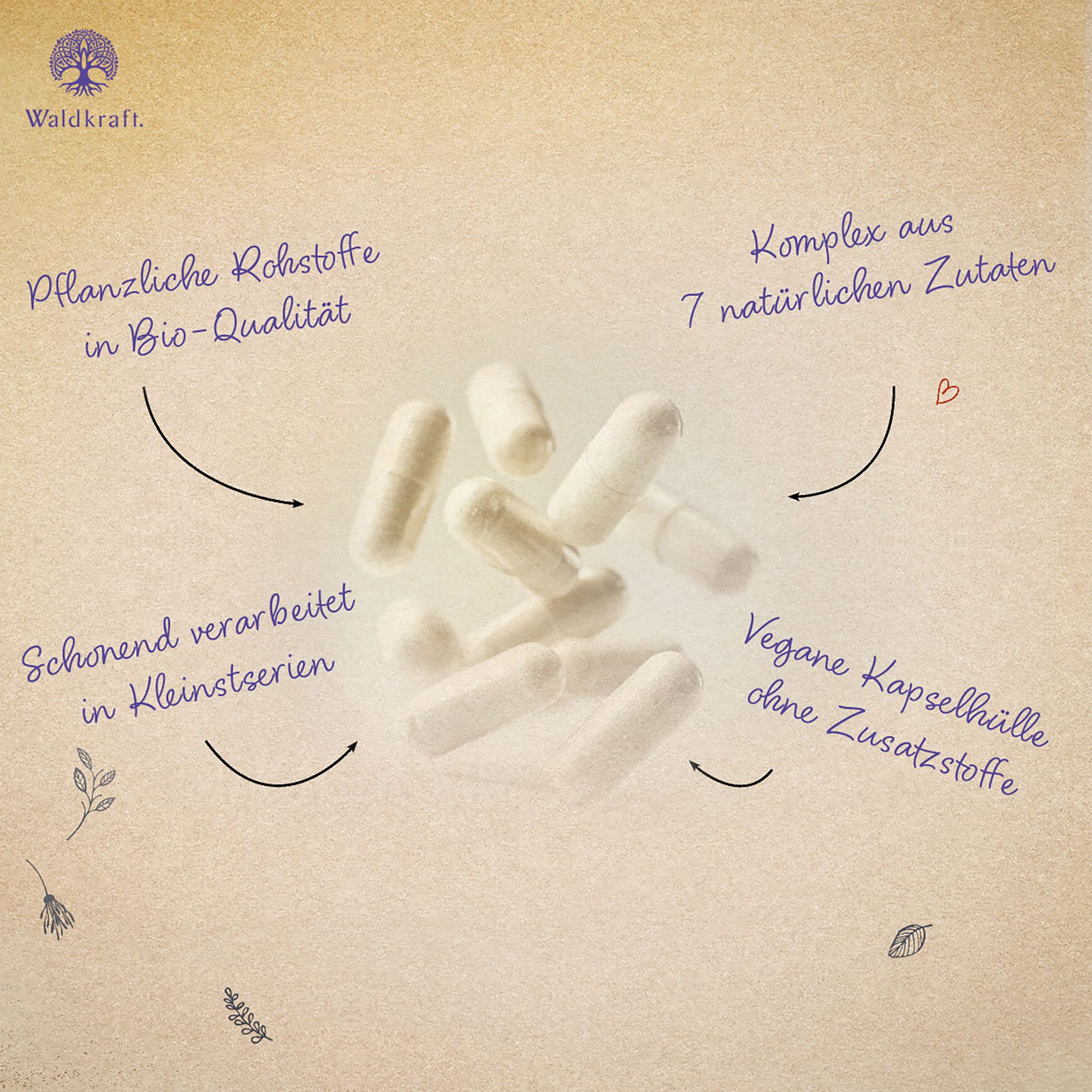 Waldkraft. Erdling Lungenkraut Komplex Kapseln, mit Isländisch Moos, Ehrenpreis, Cordyceps, Reishi, NAC & OptiMSM® à 120 St., 72 g