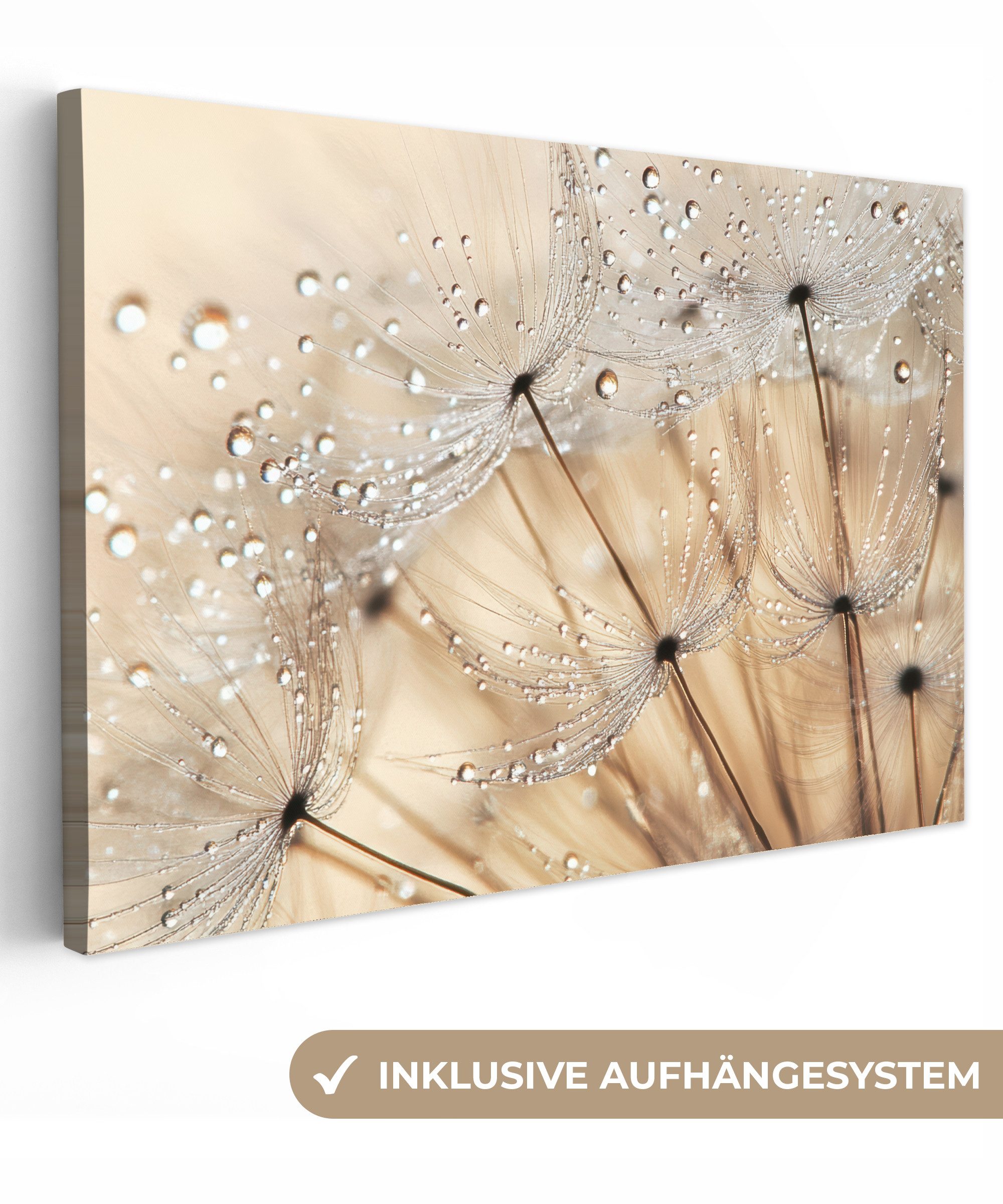 OneMillionCanvasses® Leinwandbild Löwenzahn - Abstrakt - Natur - Beige, Fot günstig online kaufen