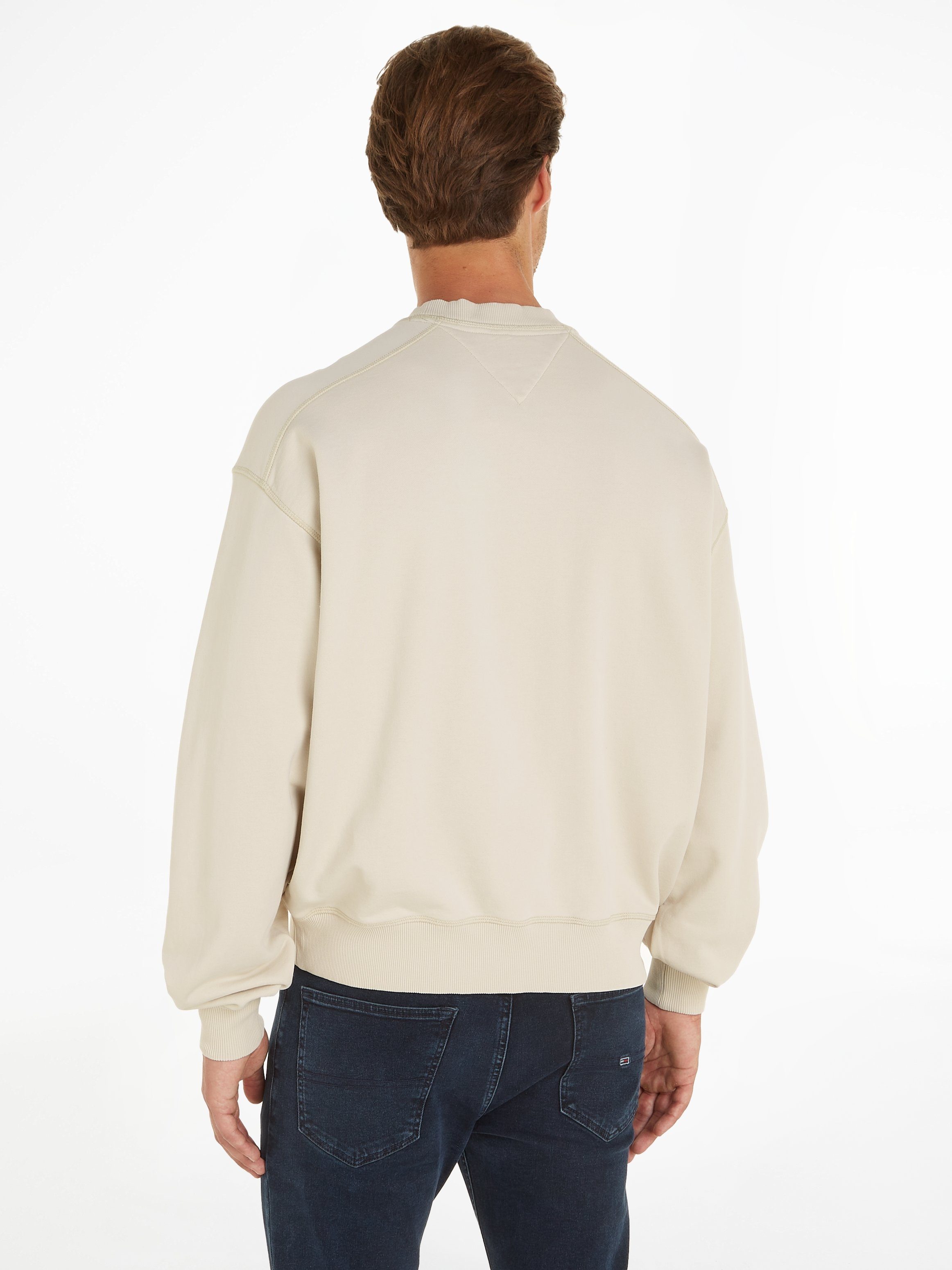 Tommy Jeans Sweatshirt TJM BOXY VARSITY günstig online kaufen