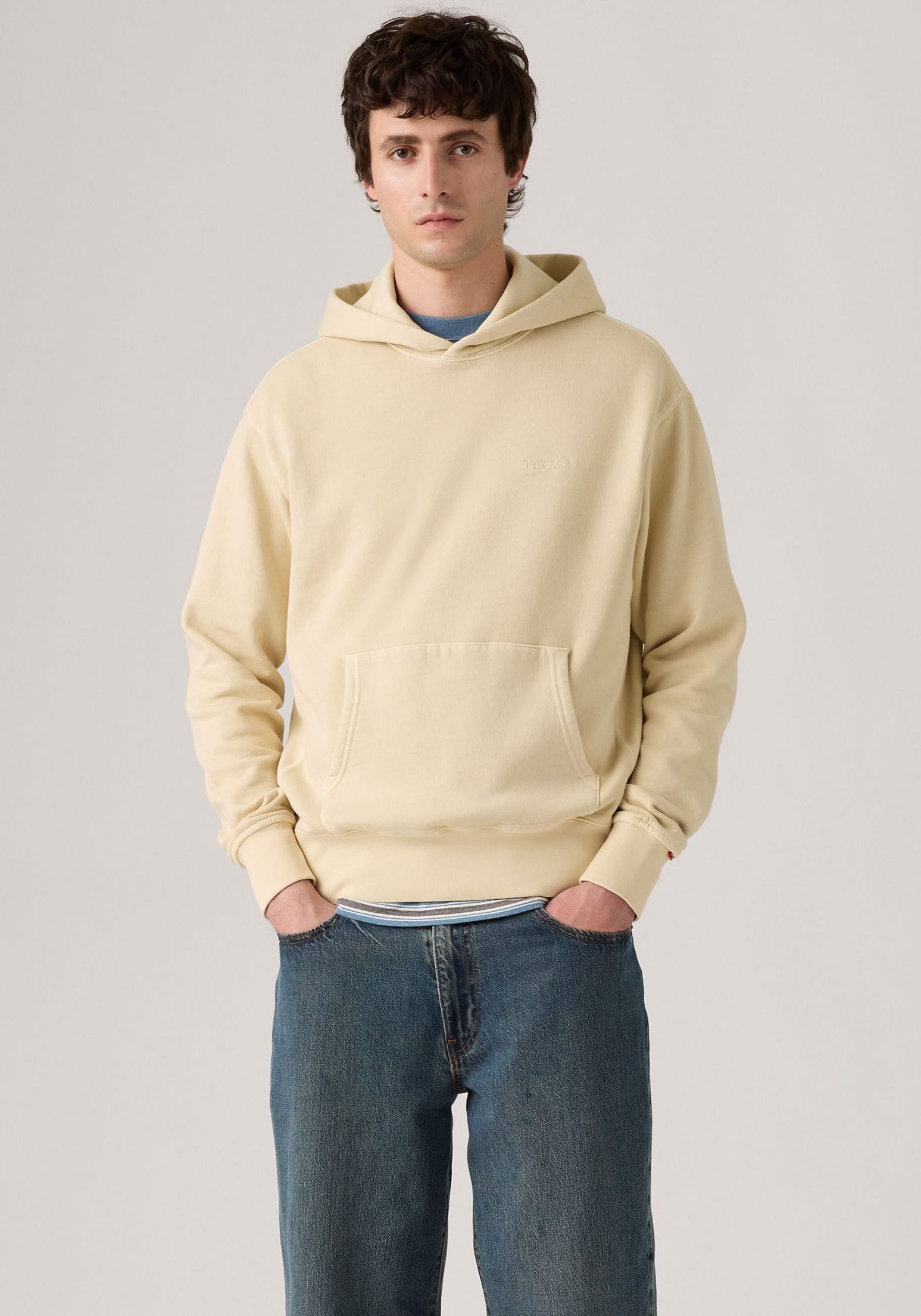 Levi's® Hoodie THE AUTHENTIC HOODIE mit kleiner Ton-in-Ton Logostickerei au günstig online kaufen