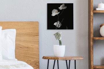 OneMillionCanvasses® Leinwandbild Orchidee - Blumen - Schwarz - Weiß - Stilleben, (1 St), Leinwand Bilder für Wohnzimmer Schlafzimmer