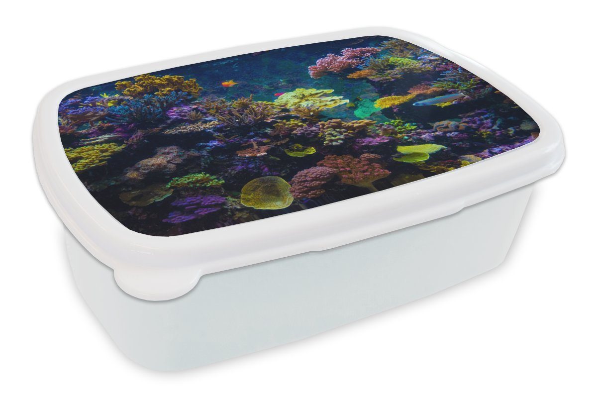 MuchoWow Lunchbox Koralle - Farben - Fisch, Kunststoff, (2-tlg), Brotbox für Kinder und Erwachsene, Brotdose, für Jungs und Mädchen weiß