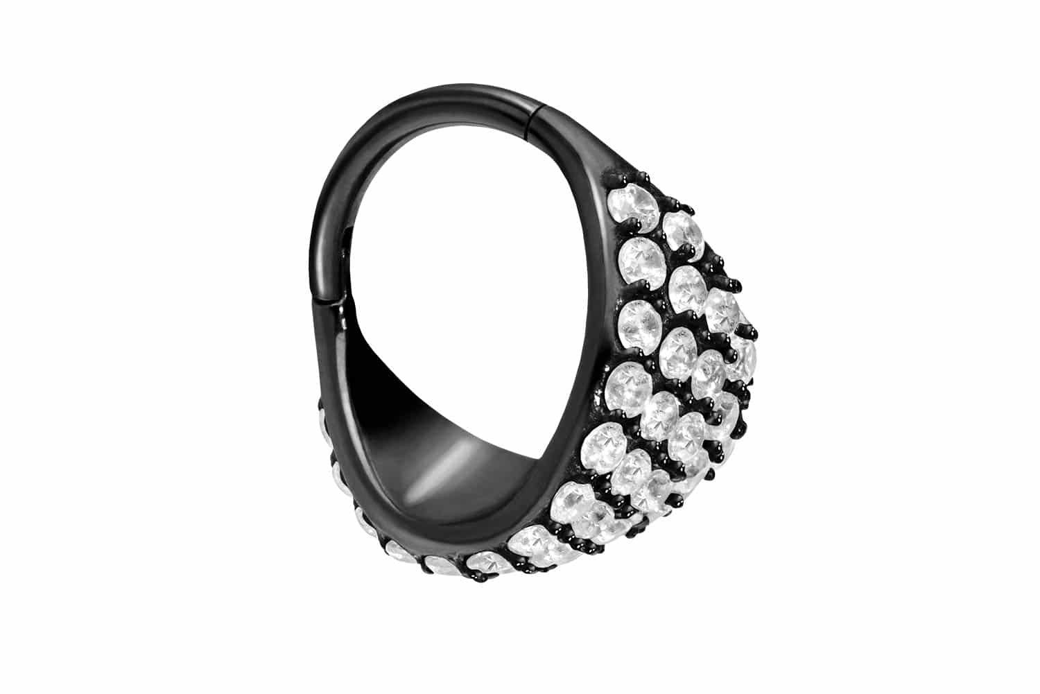 Piercing-Set Chirurgenstahl Segmentring Clicker EINGEFASSTES KRISTALLSCHILD