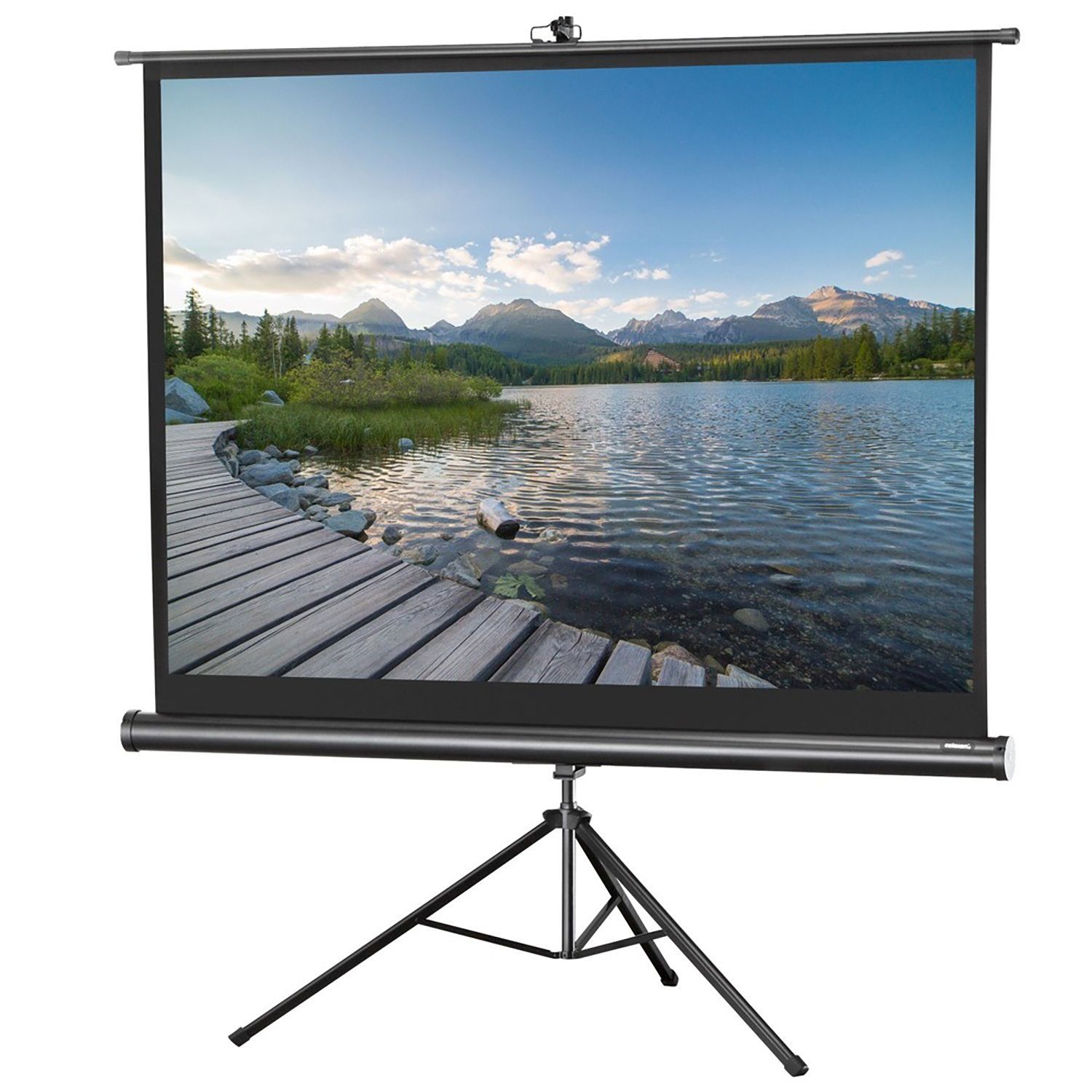 Celexon Economy Stativleinwand (black_backside)