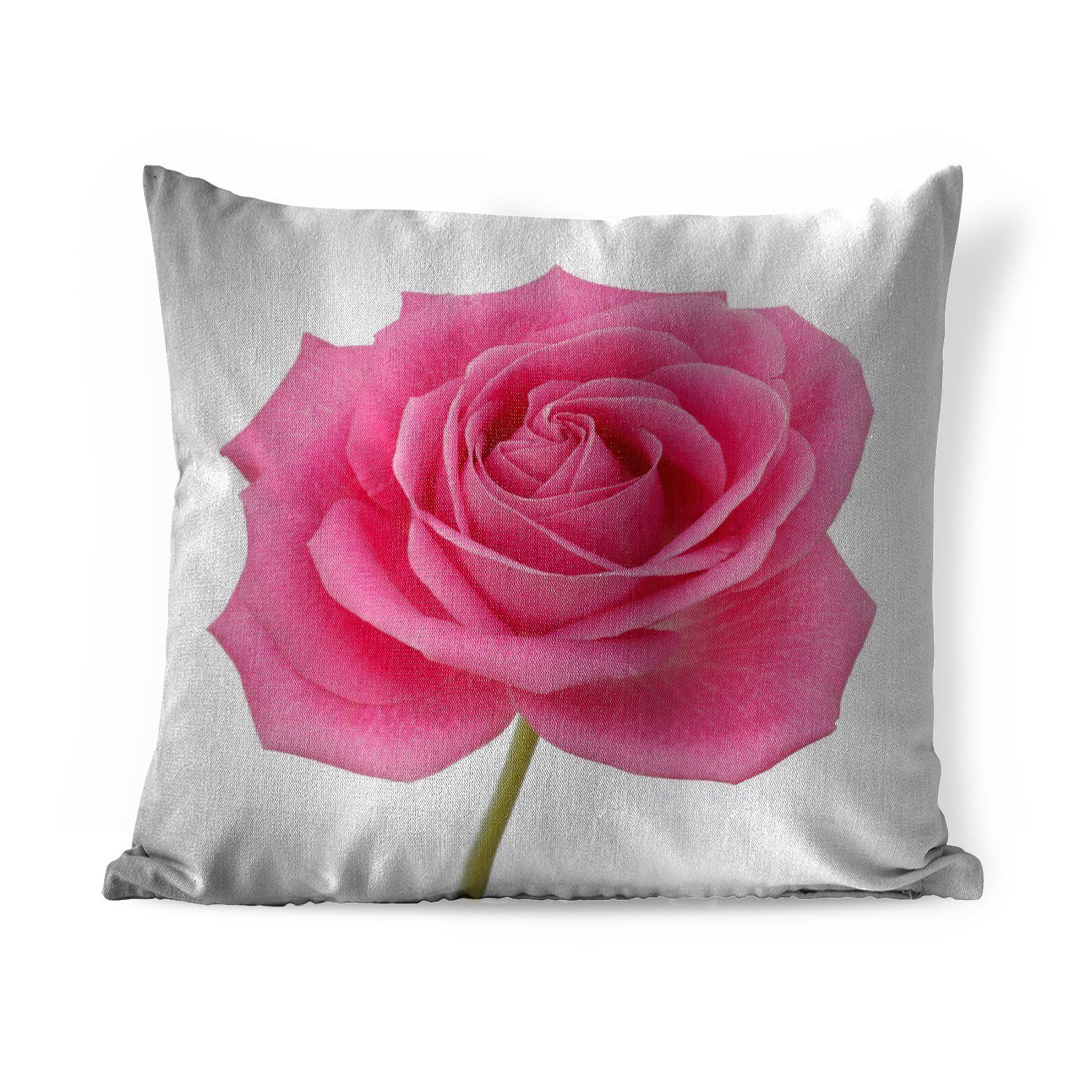 MuchoWow Dekokissen Nahaufnahme einer einzelnen rosa Rose auf weißem Hintergrund, Zierkissen mit Füllung für Wohzimmer, Schlafzimmer, Deko, Sofakissen
