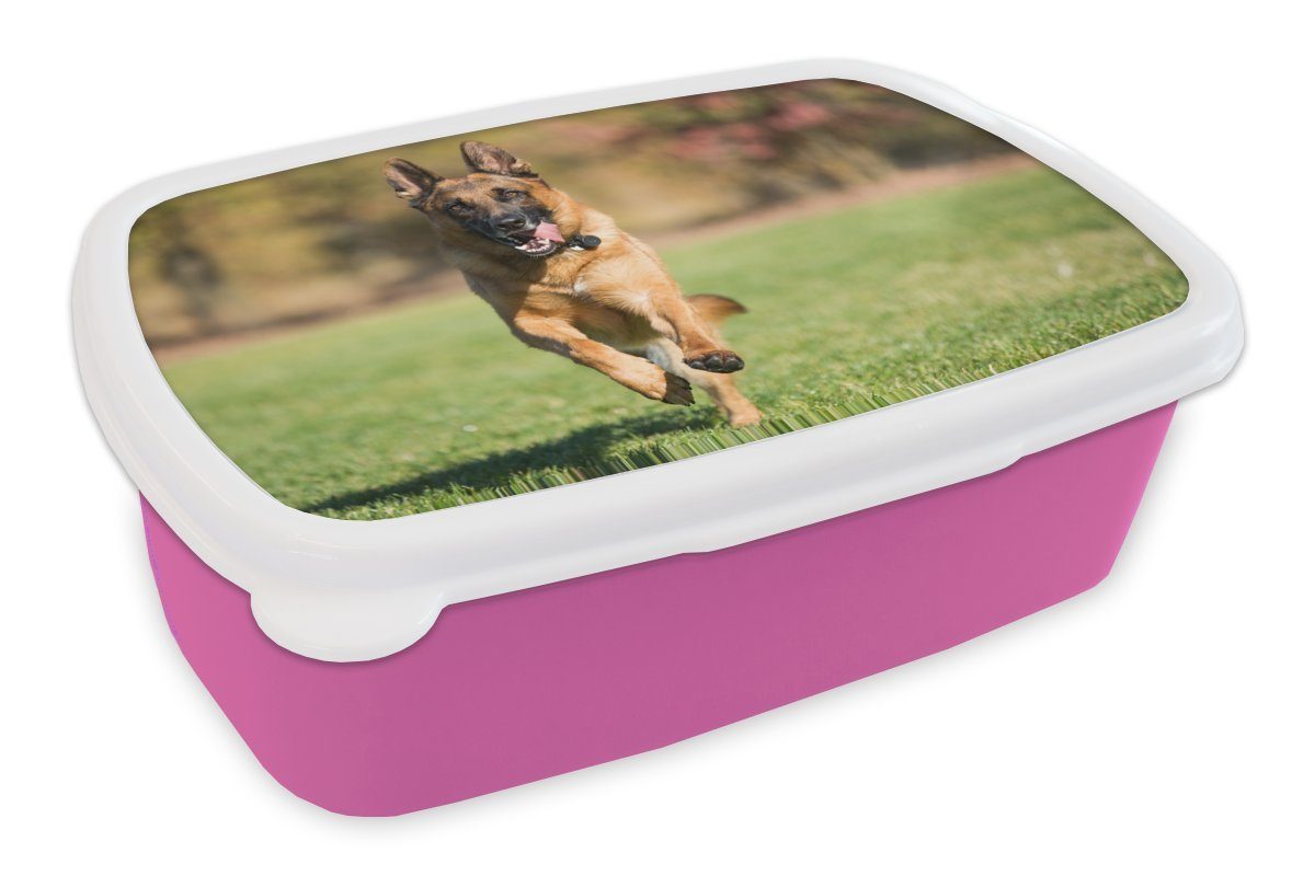 MuchoWow Lunchbox Ein Deutscher Schäferhund (2-tlg), sprintet Kunststoff rosa für Kinder, Brotdose Brotbox durch Erwachsene, Kunststoff, grüne Gras, das Snackbox, Mädchen