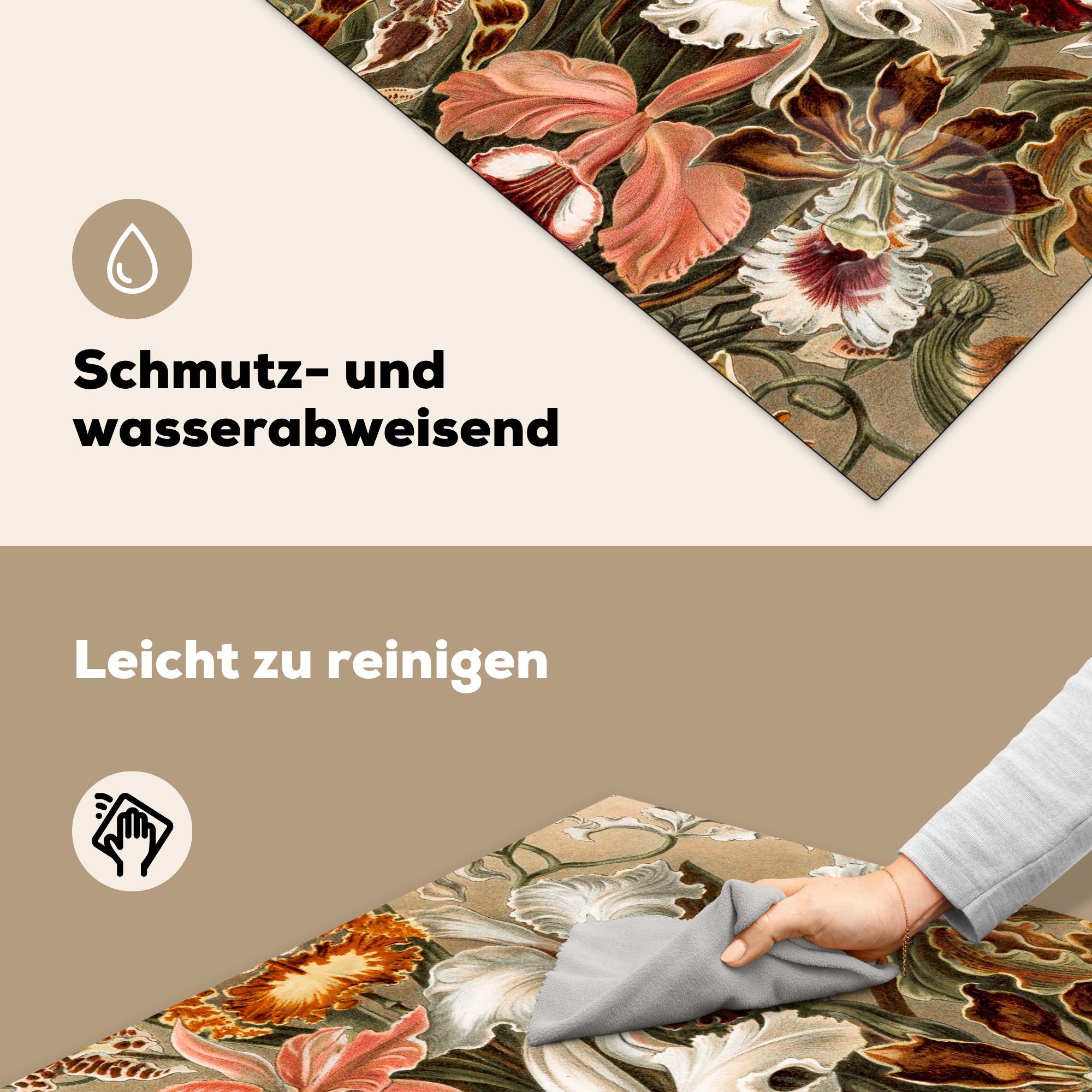 Orchidee Haeckel, für Vinyl, Herdblende-/Abdeckplatte Ceranfeldabdeckung, küche Ernst Arbeitsplatte tlg), (1 - cm, 78x78 MuchoWow