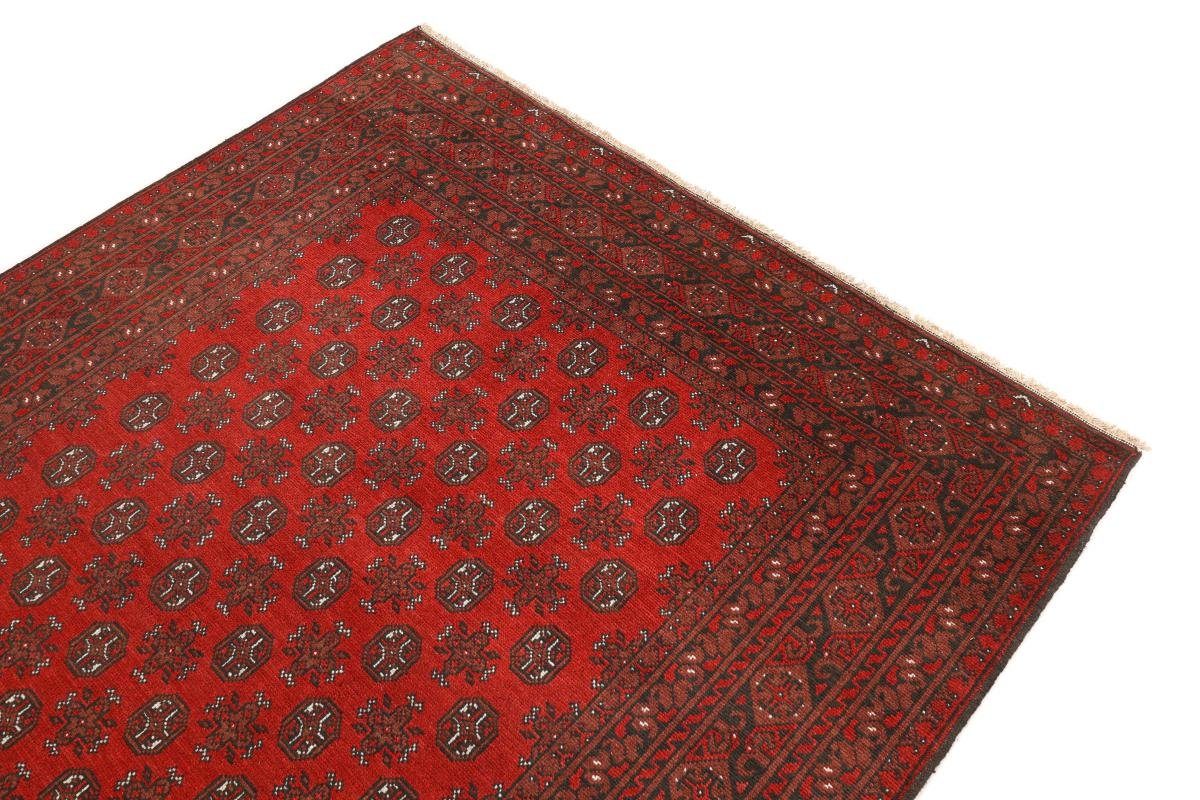 Orientteppich Afghan Akhche 204x293 Nain Höhe: mm rechteckig, Orientteppich, 6 Trading, Handgeknüpfter