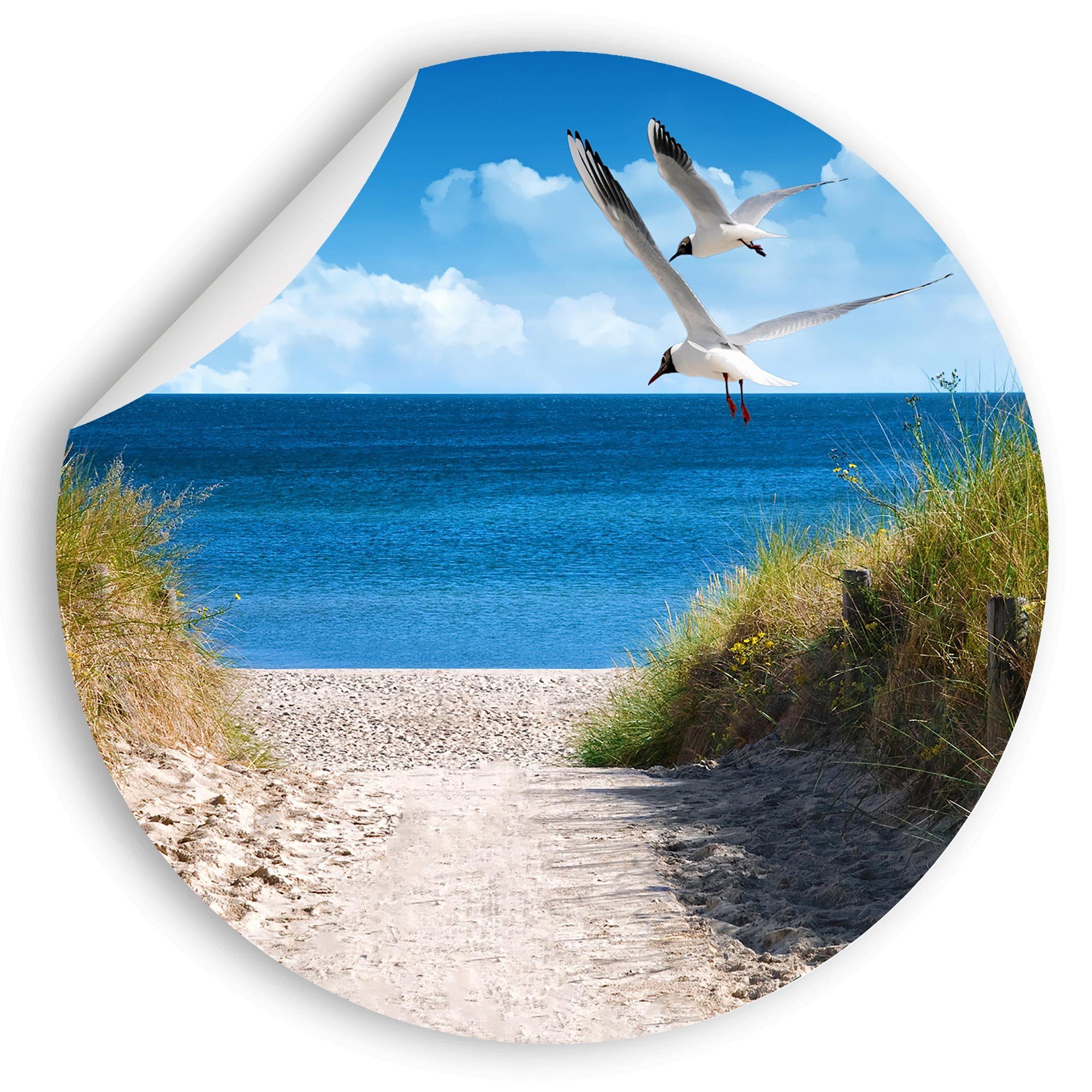 WallSpirit Wandsticker Wandaufkleber rund "Strand mit Möwen", Selbstklebend, rückstandslos abziehbar