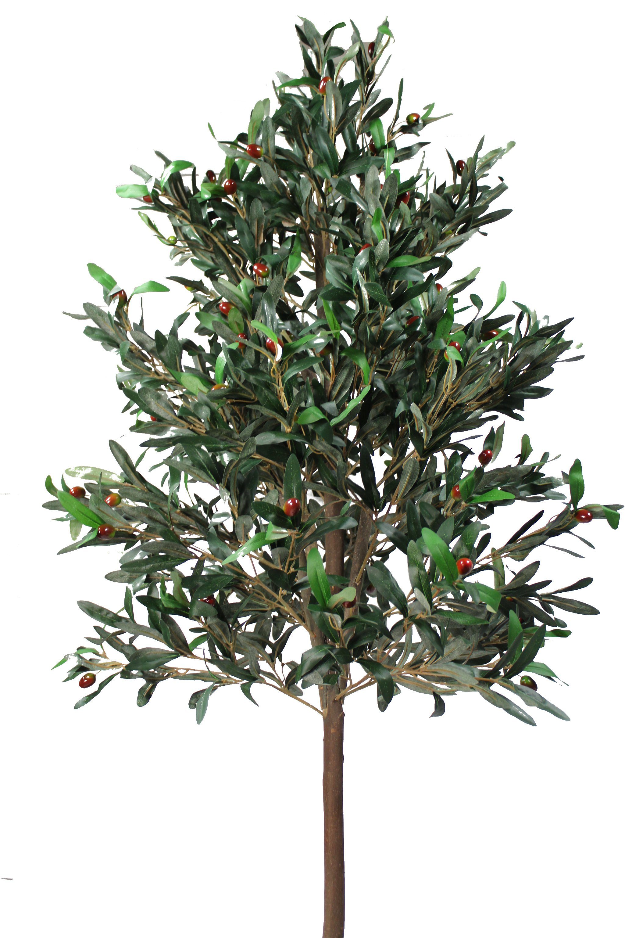 Echtholzstamm 2070 cm Olivenbaum 185 Arnusa, künstlicher Premium Blätter Höhe Kunstpflanze Olive,