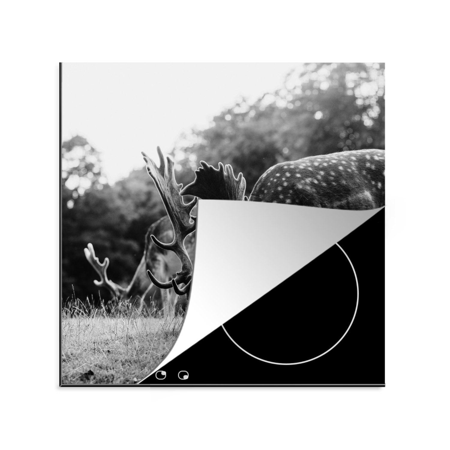 MuchoWow Herdblende-/Abdeckplatte Dänemark - Schwarz - Weiß - Rotwild, Vinyl, (1 tlg), 78x78 cm, Ceranfeldabdeckung, Arbeitsplatte für küche