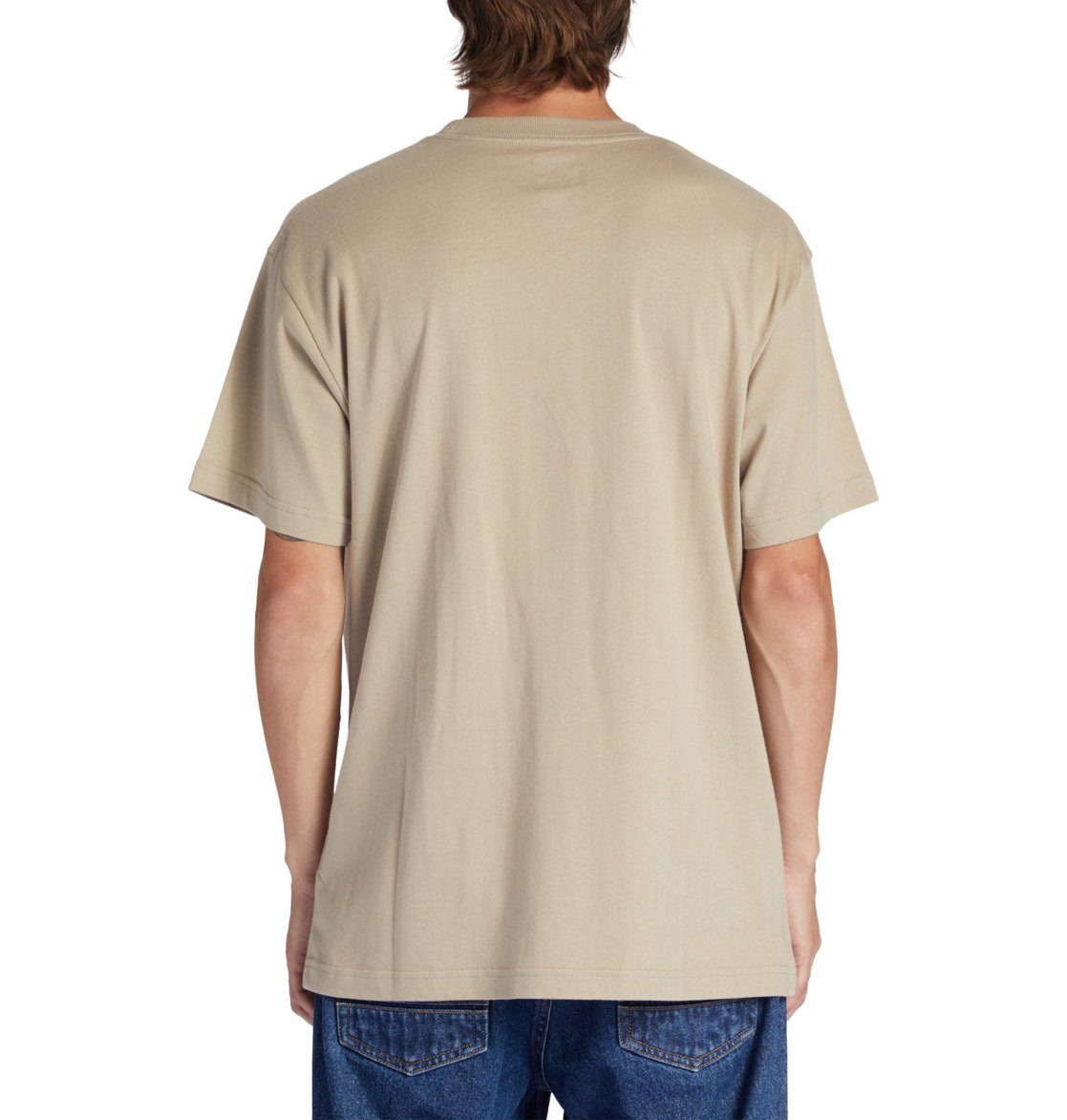 DC Shoes T-Shirt DC Star Plaza Taupe