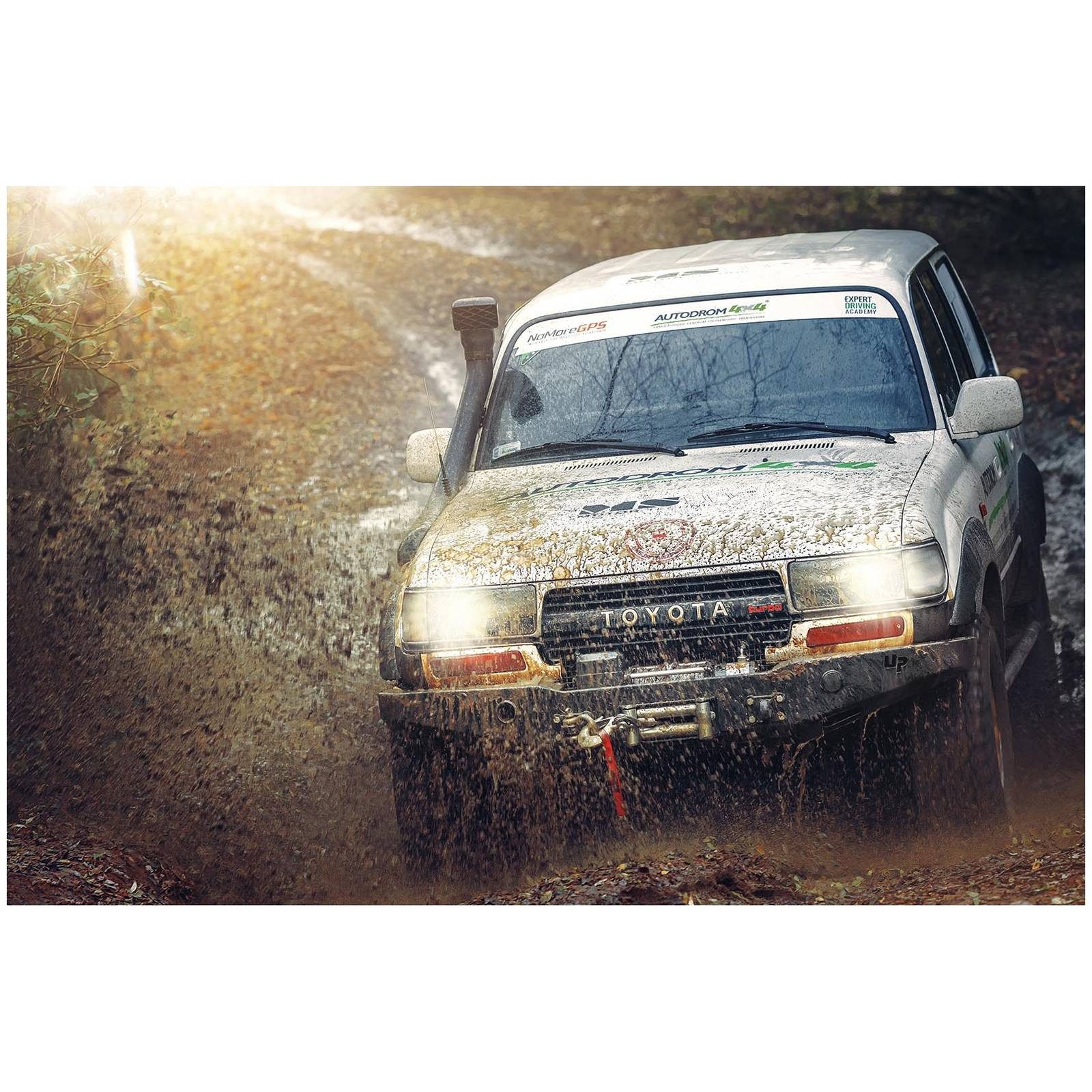 MSW Seilwinde 4310 kg 12 V Elektrische Seilzug Offroad Motorwinde